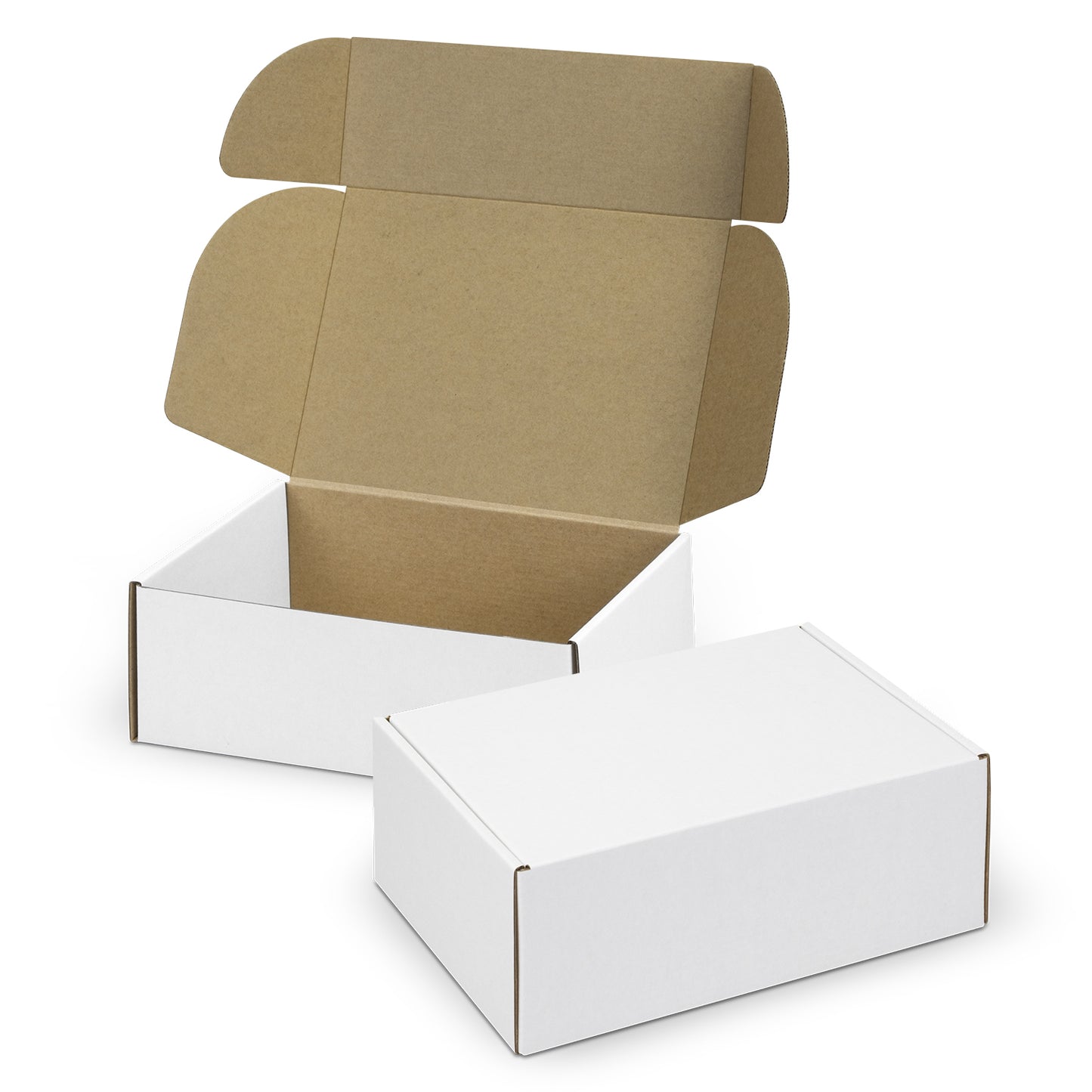 Medium Die Cut Box with Locking Lid