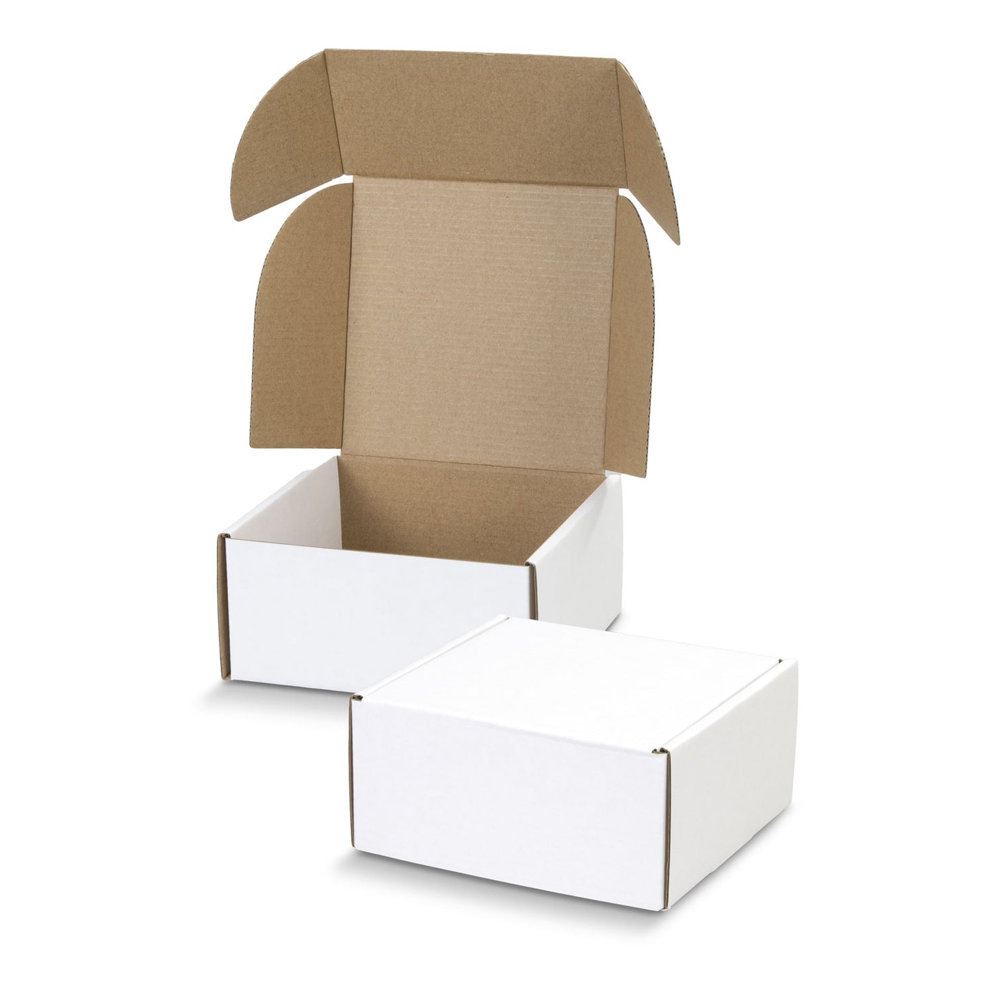 Small Die Cut Box with Locking Lid