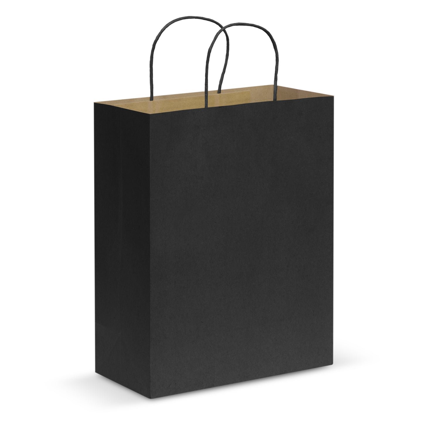 Large Paper Carry Bag