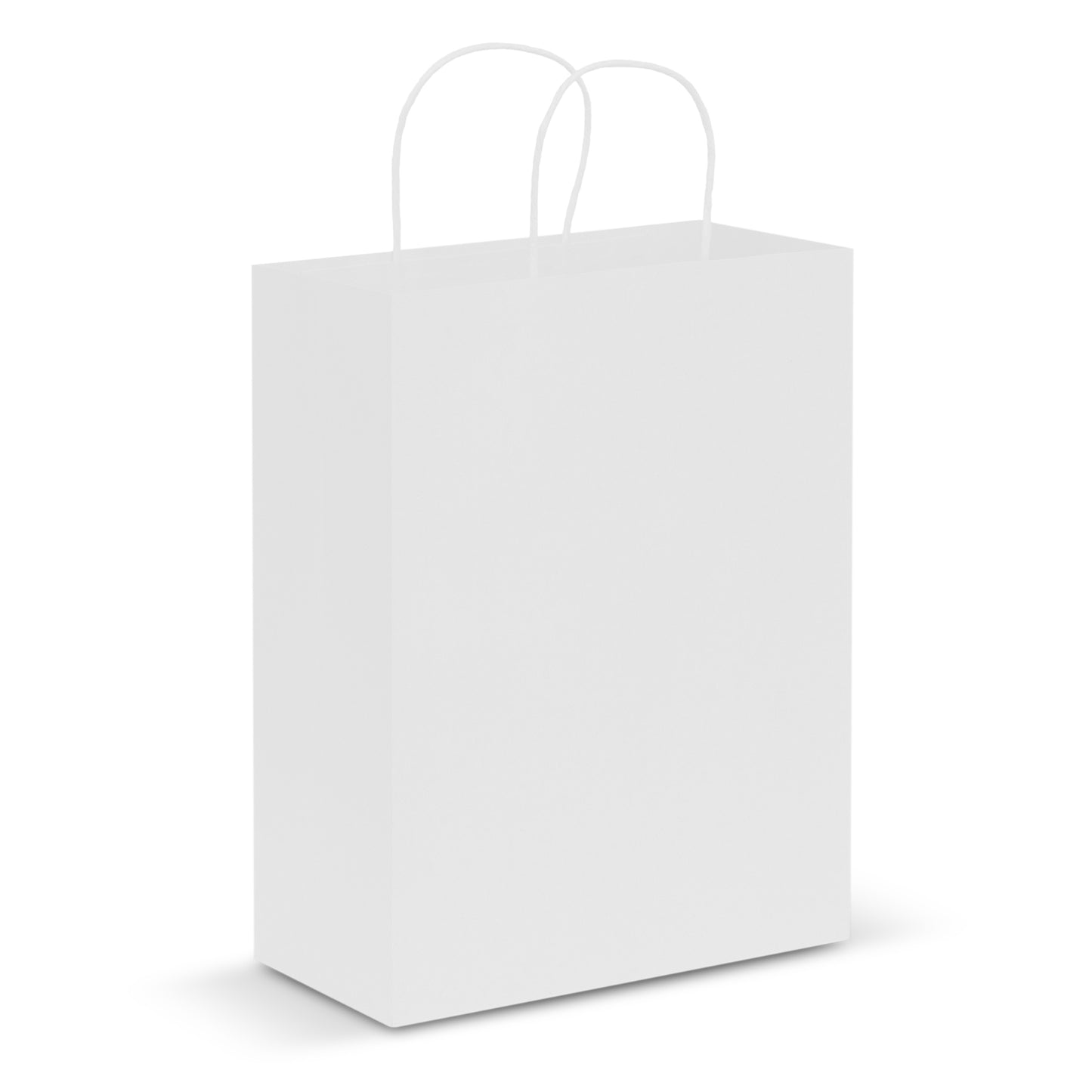 Large Paper Carry Bag