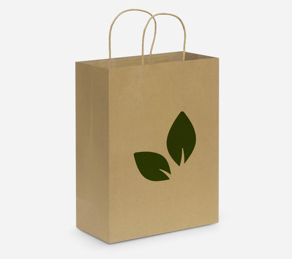Large Paper Carry Bag