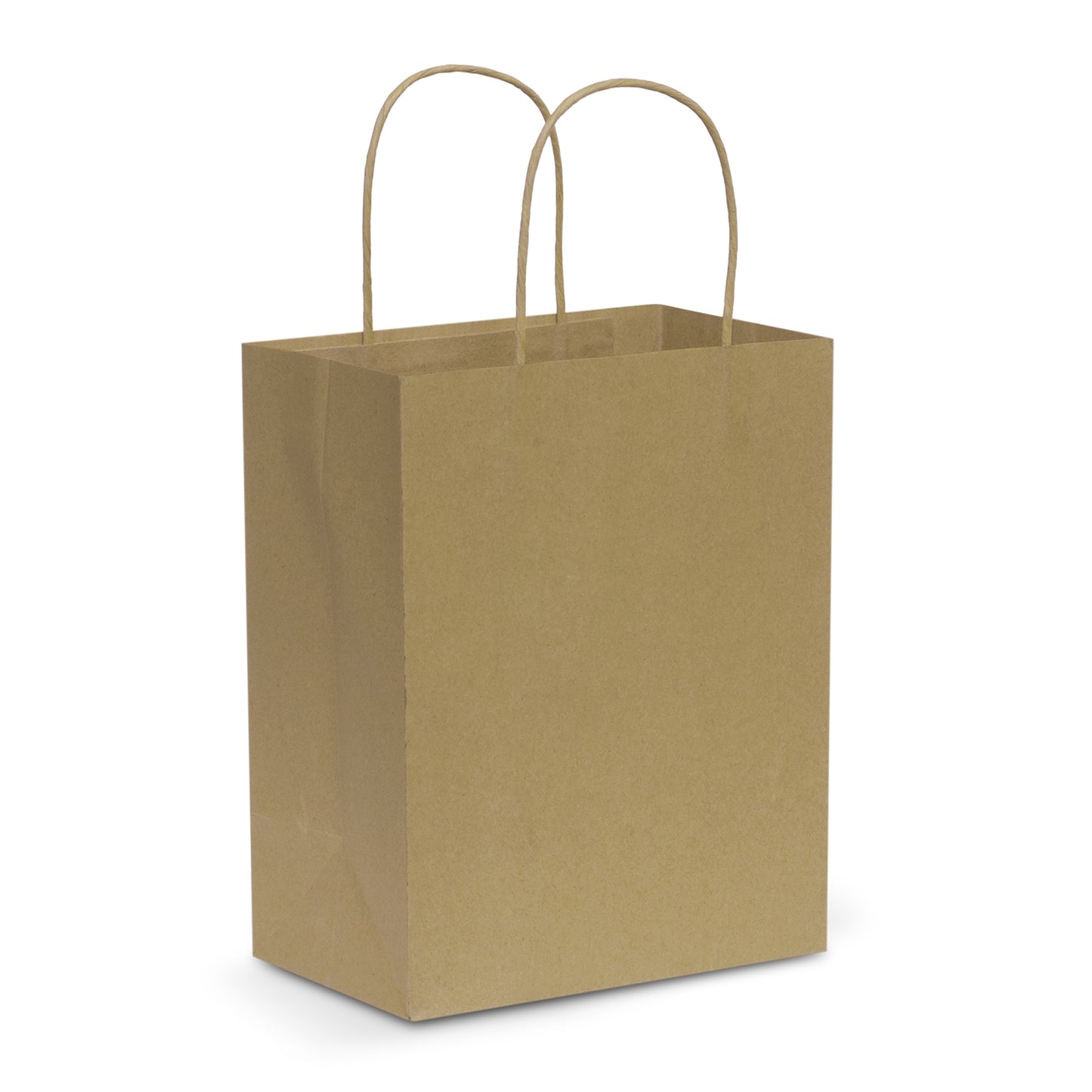 Medium Paper Carry Bag