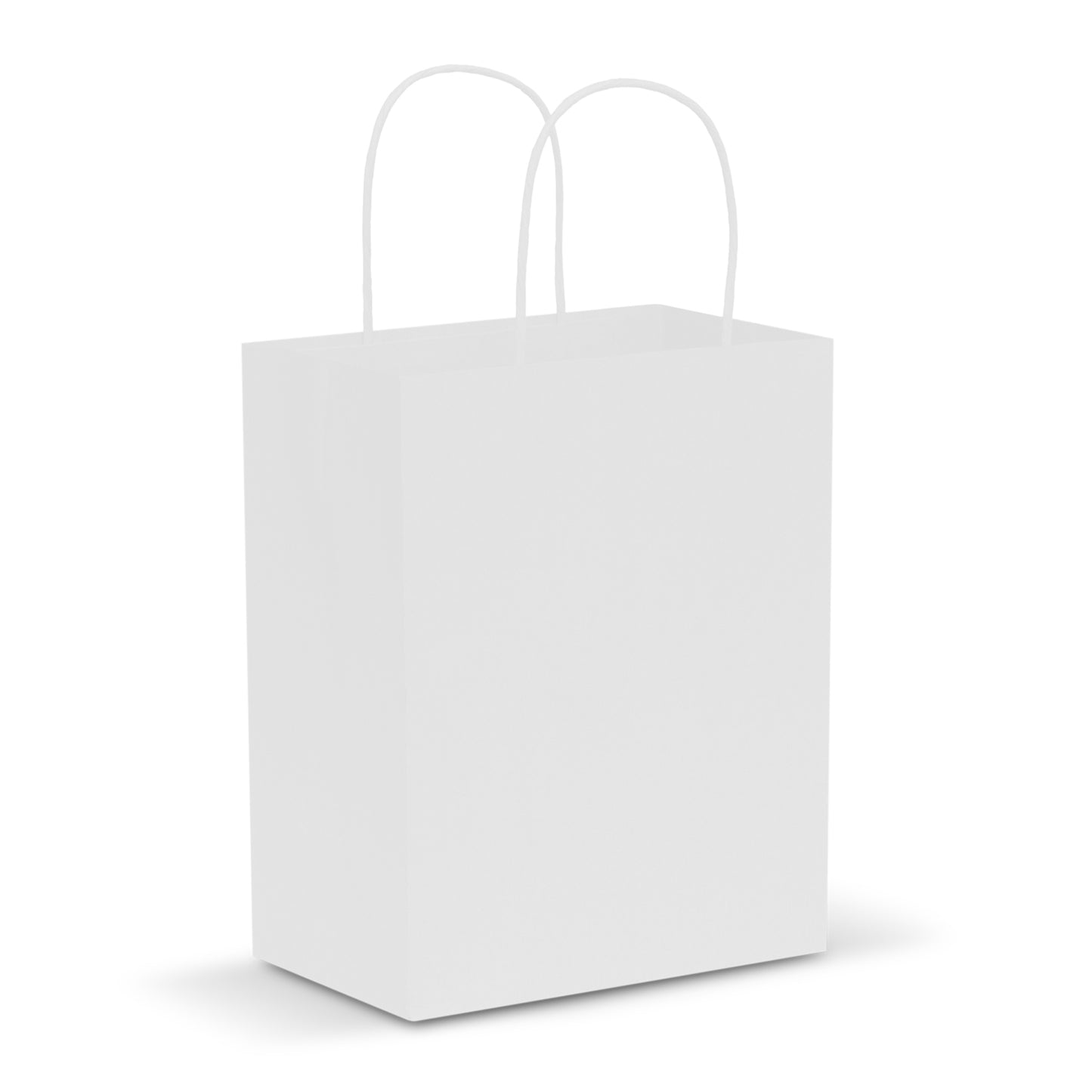 Medium Paper Carry Bag