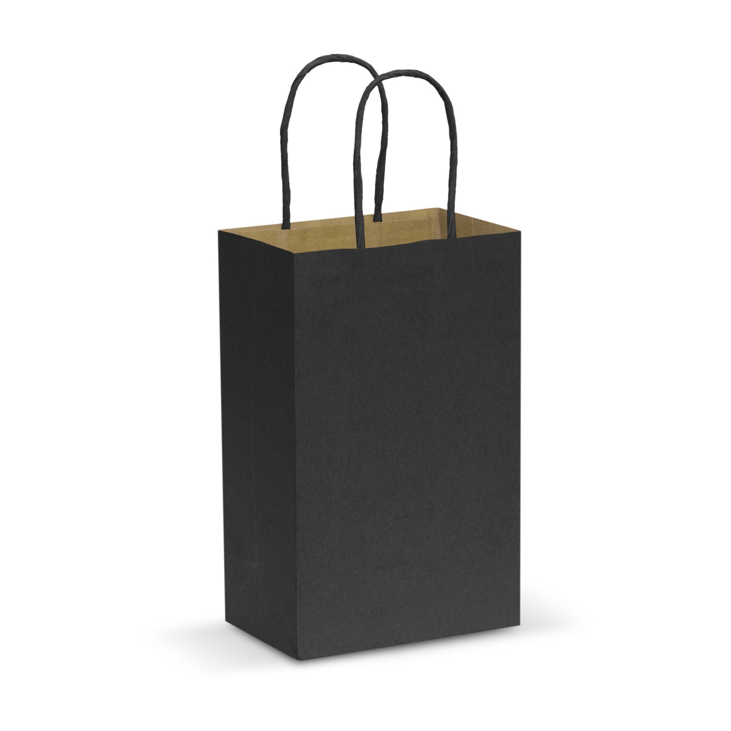Small Paper Carry Bag