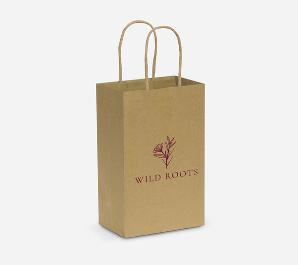 Small Paper Carry Bag